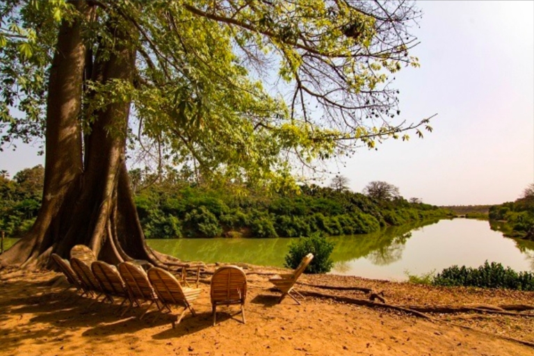 Van Saly: dagtocht naar de Sine-Saloum-delta