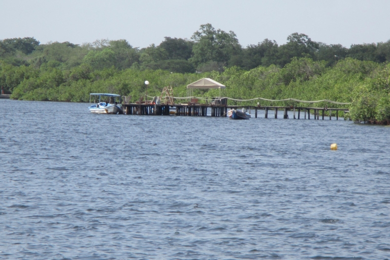 Desde Saly: excursión de un día al delta del Sine-Saloum