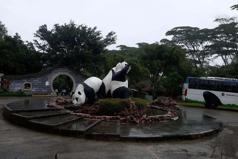 Au départ de Jakarta, visite privée d&#039;une journée à Taman SafariAu départ de Jakarta, visite privée d&#039;une journée à Taman Safari (tout compris)