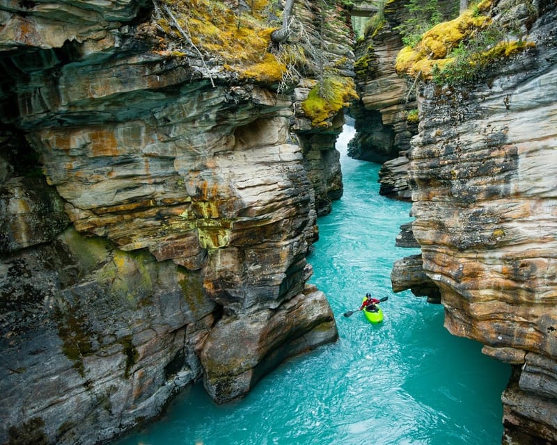 Jasper: Maligne Valley Wildlife Watching & Boat Tour | GetYourGuide