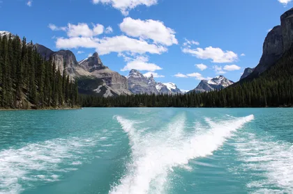 Jasper: Maligne Valley Wildlife Watching & Bootstour