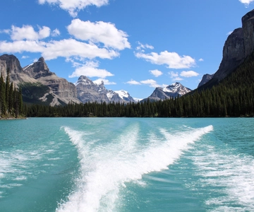 Jasper: Maligne Valley Wildlife Watching & Boat Tour (villieläinten tarkkailu ja veneretki)