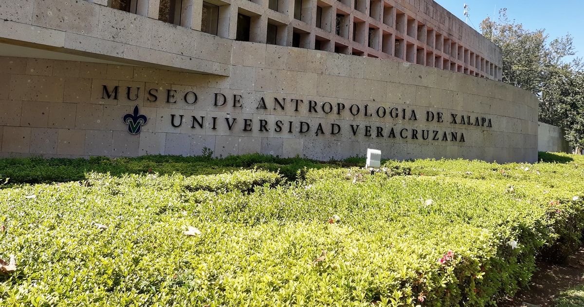 From Veracruz Xalapa Guided Tour with Coffee Museum Visit GetYourGuide