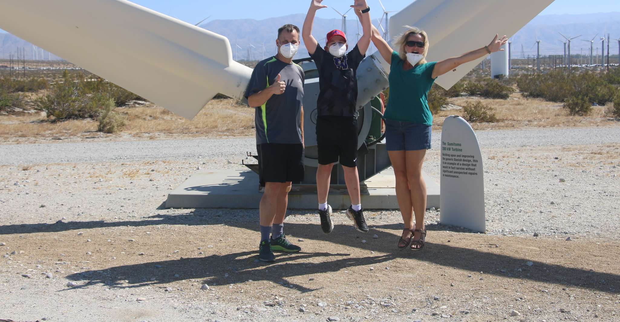 Palm Springs, gira autodirigida por molinos de viento - Hizvo
