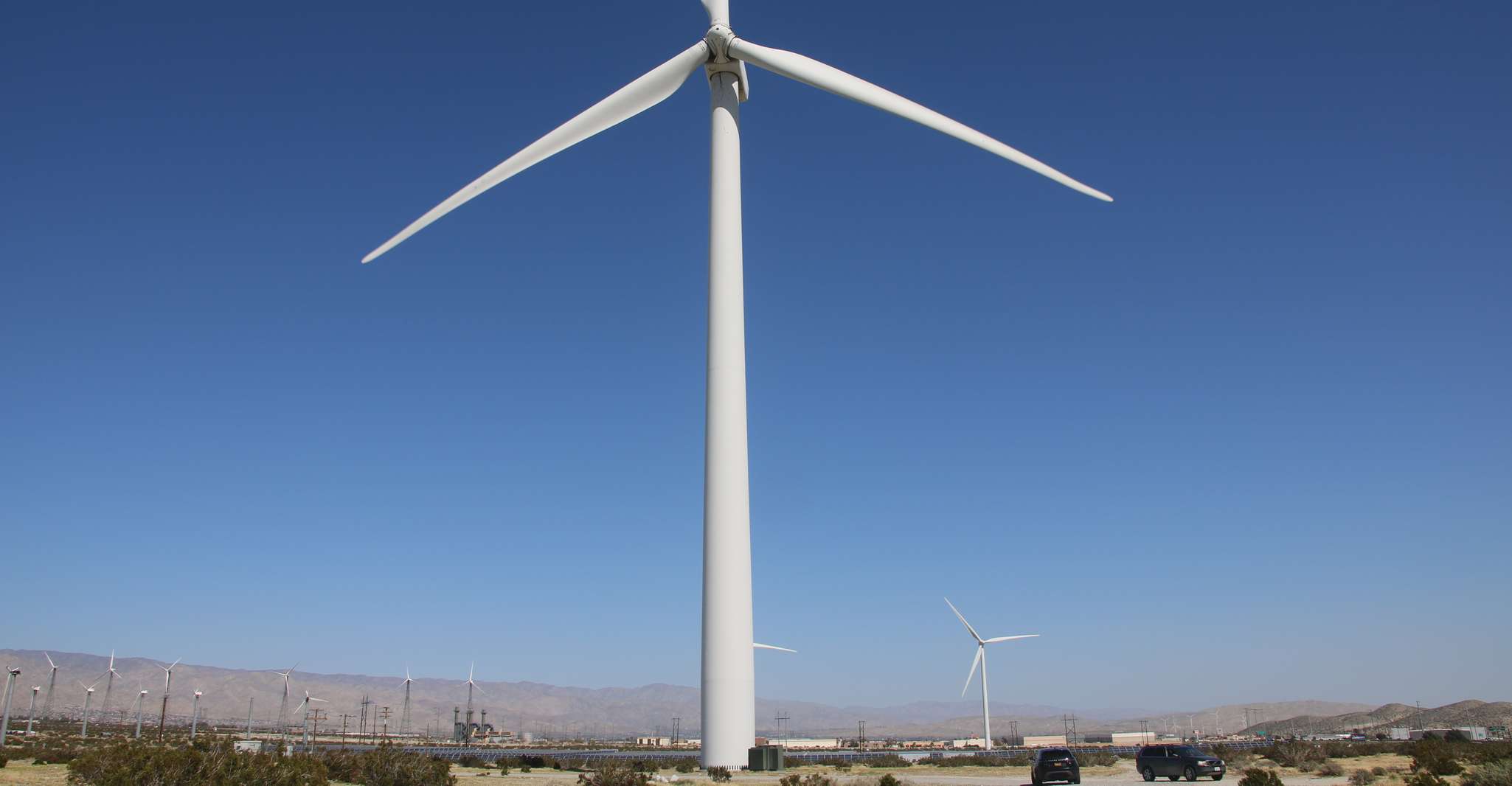 Palm Springs, gira autodirigida por molinos de viento - Hizvo
