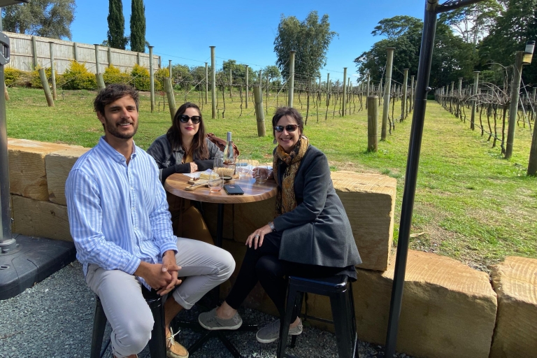 De Brisbane: visite des vins du mont Tamborine avec déjeuner gastronomiqueVisite des vins du mont Tamborine avec déjeuner gastronomique