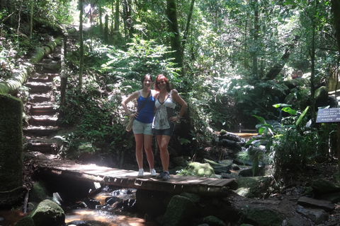 São Paulo: Trekking- und Schwimmtour im Naturpark CantareiraOption mit Hotelabholung