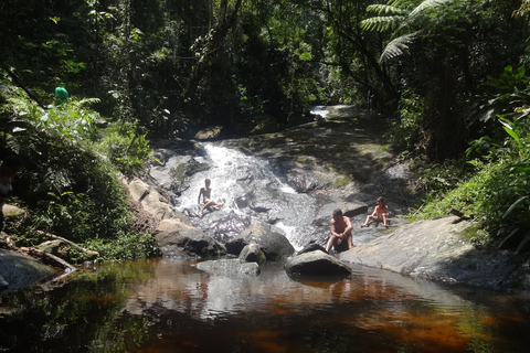 São Paulo: Naturparken Cantareira - vandring i regnskogenVandring i Cantareira