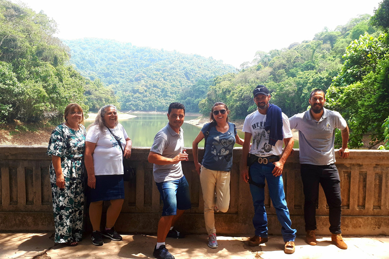 São Paulo: Trekking- und Schwimmtour im Naturpark CantareiraOption mit Hotelabholung