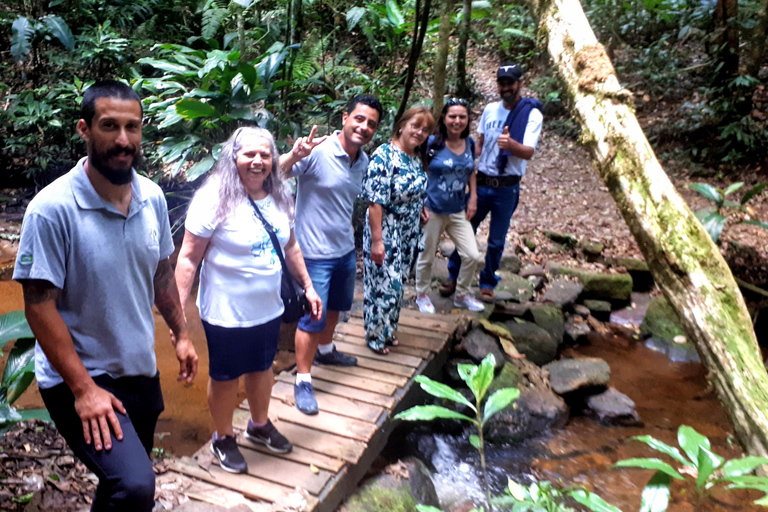 São Paulo: Naturparken Cantareira - vandring i regnskogenVandring i Cantareira