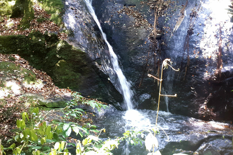 São Paulo: Trekking- und Schwimmtour im Naturpark CantareiraOption mit Hotelabholung