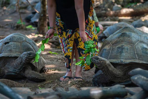 Zanzibar: privat tur till Prison Island, sköldpaddor och Stone TownPrivat rundtur i Stone Town och Prison Island. Ingen transfer