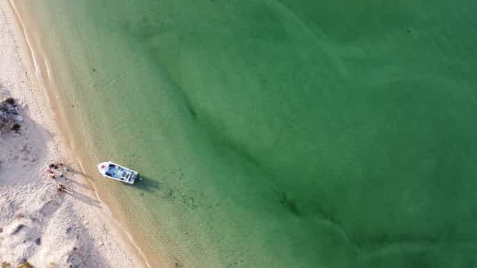 parco naturale di ria formosa giro in barca da faro