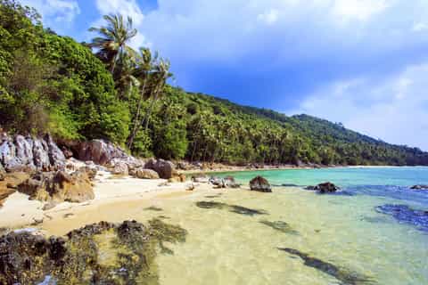 Koh Samui: Market Visit, Sunset Views & Thai Beach Dinner