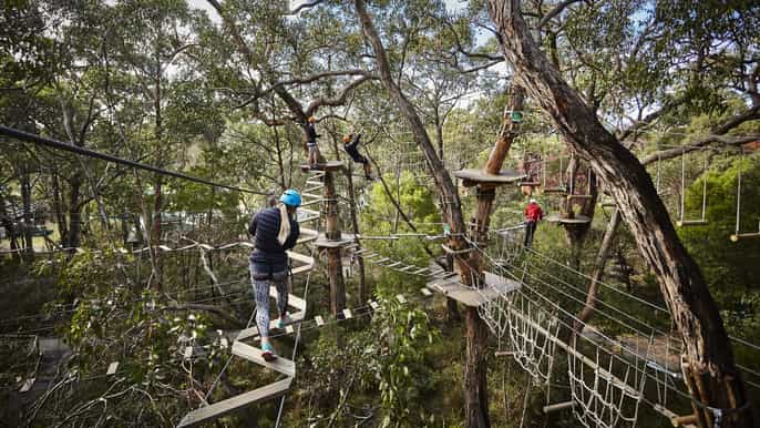 mornington peninsula zip line en tree surfing experience