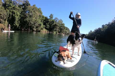 Cairns: Standup Paddleboard Tour in Goldsborough Valley