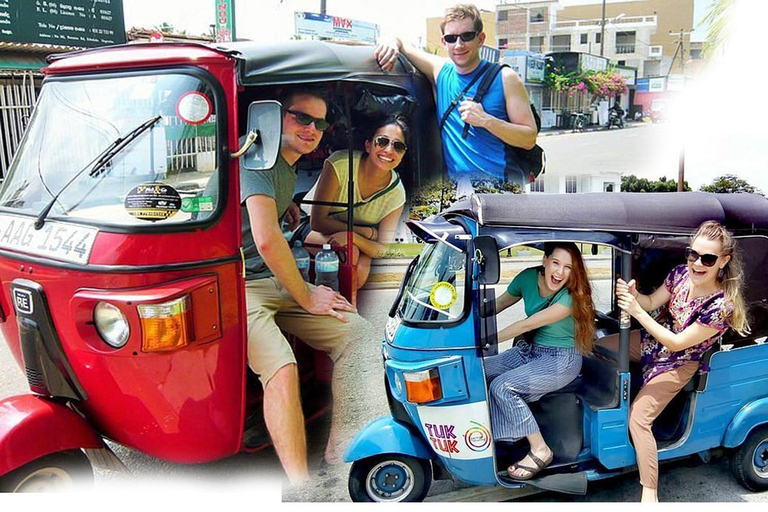 Kandy To Pinnawala Tour By Tuk Tuk Sri Lanka ?