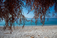 Saranda，Qeparo和Himara指导之旅 - Housity