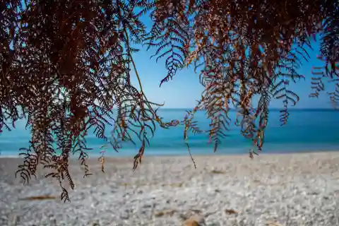 Sarandë: Qeparo und Himara Geführte Tour