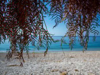 Sarandë: Tour guiado por Qeparo e Himara