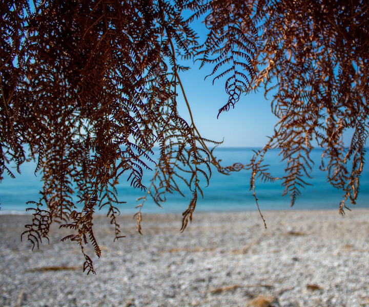 Saranda: tour guidato di Qeparo e Himara