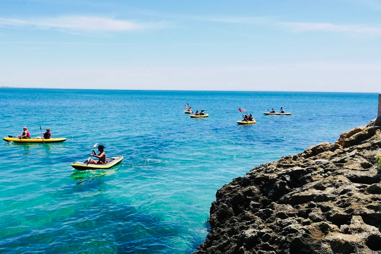 Lisboa: Tour de un día en kayak con picnic y traslado