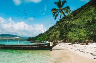 Koh Samui: Korallen- und Schweineinsel Longtail Bootstour Kleingruppentour