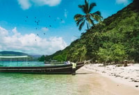 Koh Samui, Korallen- und Schweininsel-Longailboot kleiner Gruppen-Tour - Housity