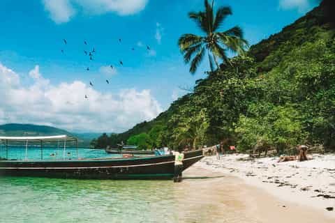 koh samui tour privato in barca a coda lunga di coral e pig island