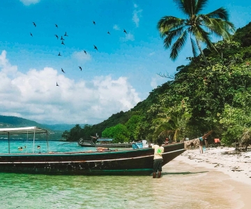 Koh Samui: Tour in barca Longtail per piccoli gruppi dell'Isola dei Coralli e dell'Isola dei Maiali