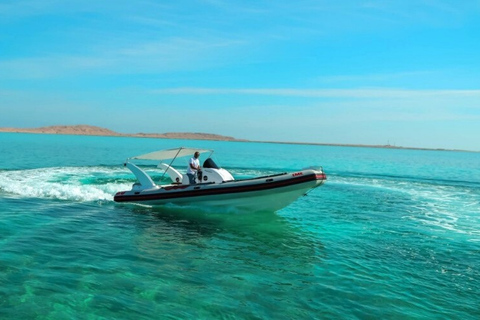 Hurghada: Osservazione dei delfini in motoscafo e Snorkeling con pranzoOsservazione privata dei delfini e snorkeling con pranzo al sacco