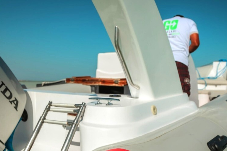 Hurghada: Private Speedboat Adventure with Snacks &amp; Pick-up4-Hour Speedboat Rental