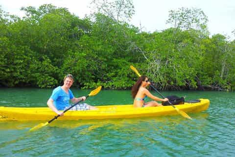 from koh yao mangrove tour by kayak
