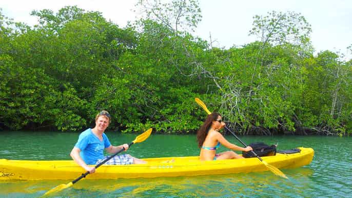 from koh yao mangrove tour by kayak