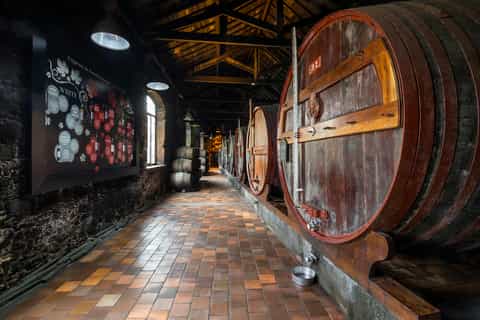 Porto: tour della cantina Burmester con degustazioni