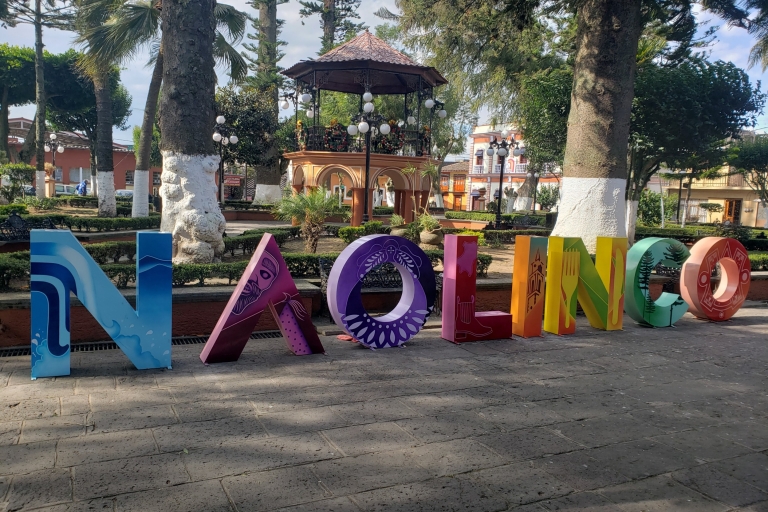 From Veracruz: Naolinco Guided Tour