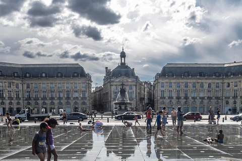 Bordeaux day trip from Biarritz in small group Small group with pick up (Spanish)