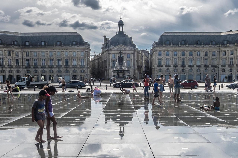 Bordeaux day trip from Biarritz in small group Small group with pick up (Spanish)