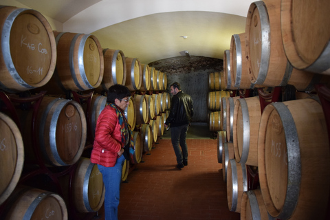 Tour do Vinho de MelnikOpção Padrão