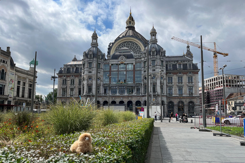 Au départ d&#039;Amsterdam : Excursion d&#039;une journée à Bruxelles et Anvers avec dégustations