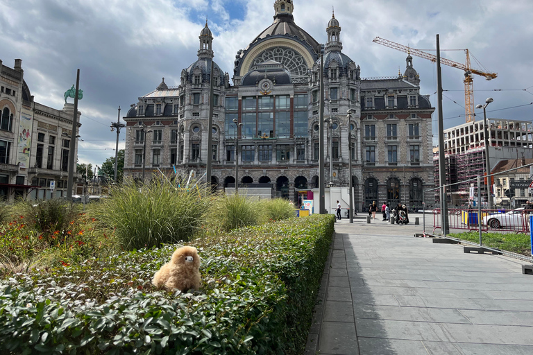 Au départ d&#039;Amsterdam : Excursion d&#039;une journée à Bruxelles et Anvers avec dégustations