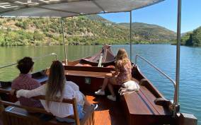 Douro Valley: 2 Wineries, Tastings, Cruise, & Lunch