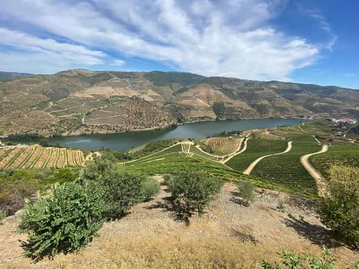 Porto: Tour Di Degustazione Di Vini Nella Valle Del Douro E Crociera In ...