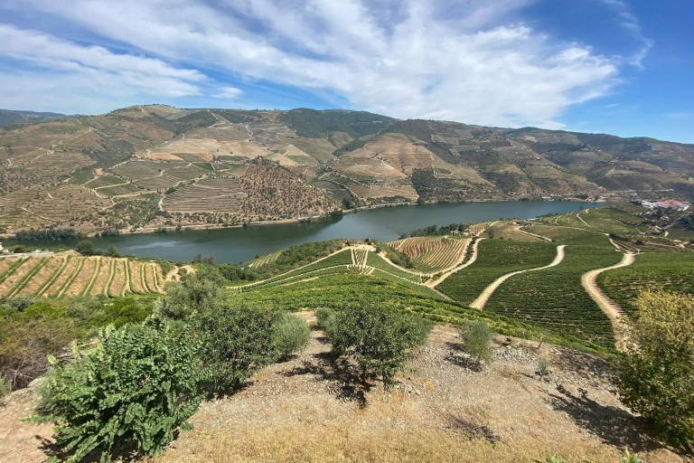 Porto: Douro Valley w/ Winery, Tasting, Boat Cruise & Lunch From Porto: Douro Valley with Winery, Wine Tasting & Lunch