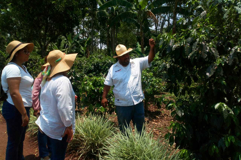 Desde Veracruz: Excursión de un día a la Ruta del Café