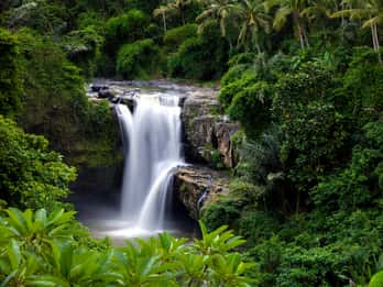 Bali: Costumized Tour with Private Transport and Guide