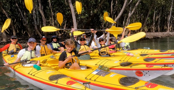 Sydney: Middle Harbour Eco Kayak Tour with Morning Tea
