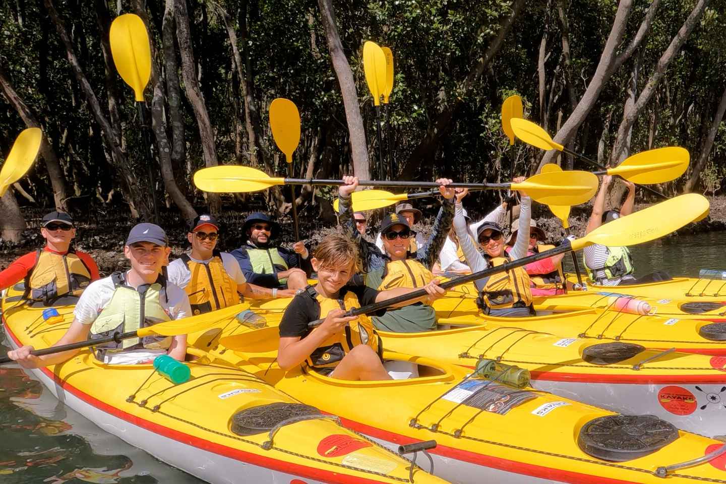 Sydney: Middle Harbour Eco Kayak Tour with Morning Tea - Sydney: Middle Harbour Eco Kayak Tour with Morning Tea