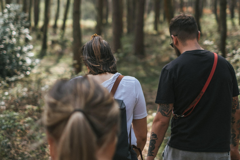 Da Bangkok: Escursione di un piccolo gruppo nel Parco Nazionale di Khao YaiTour condiviso con punto di incontro