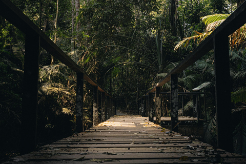 Bangkok: visite d'une journée du parc national de Khao YaiVisite partagée avec point de rencontre